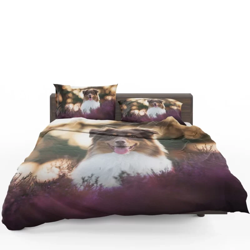 Australian Shepherd Playful Lavender Moments Bedding Set