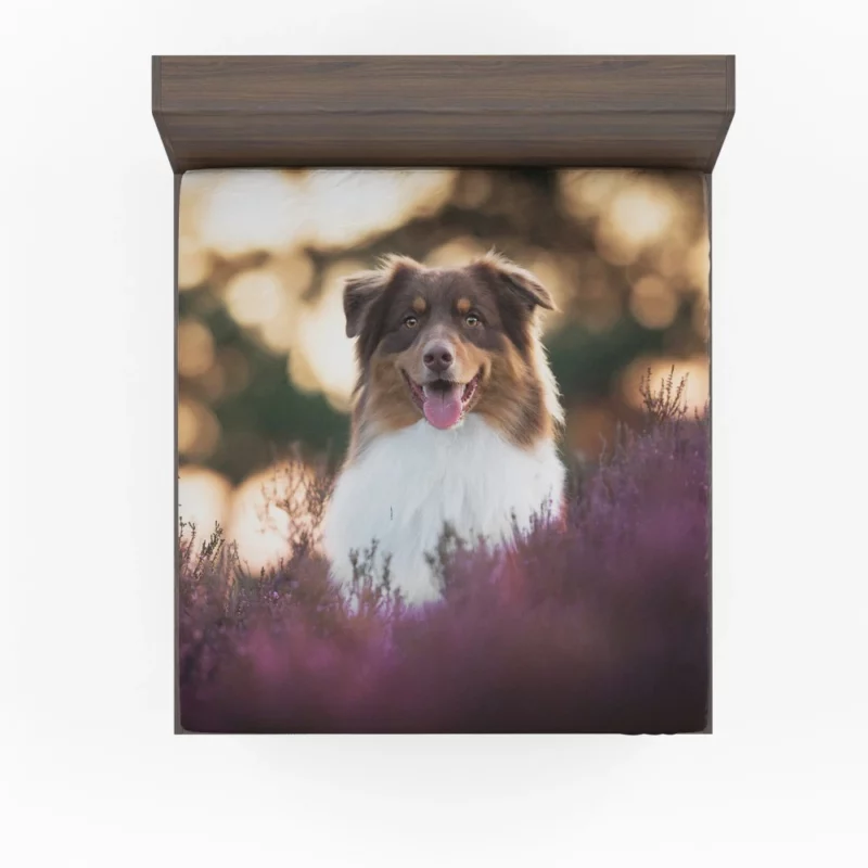 Australian Shepherd Playful Lavender Moments Fitted Sheet 1