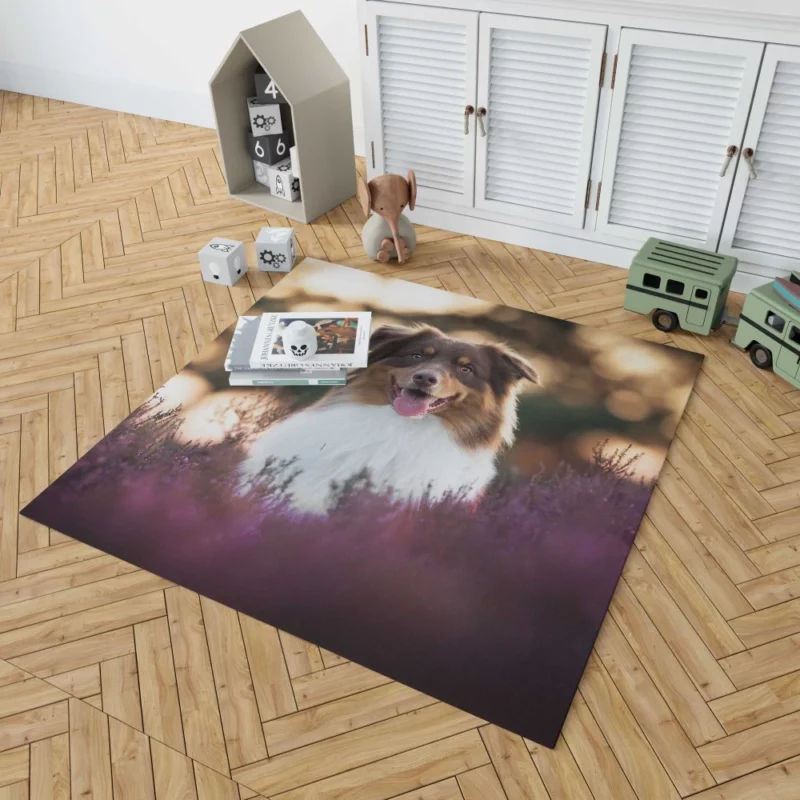 Australian Shepherd Playful Lavender Moments Rug 1