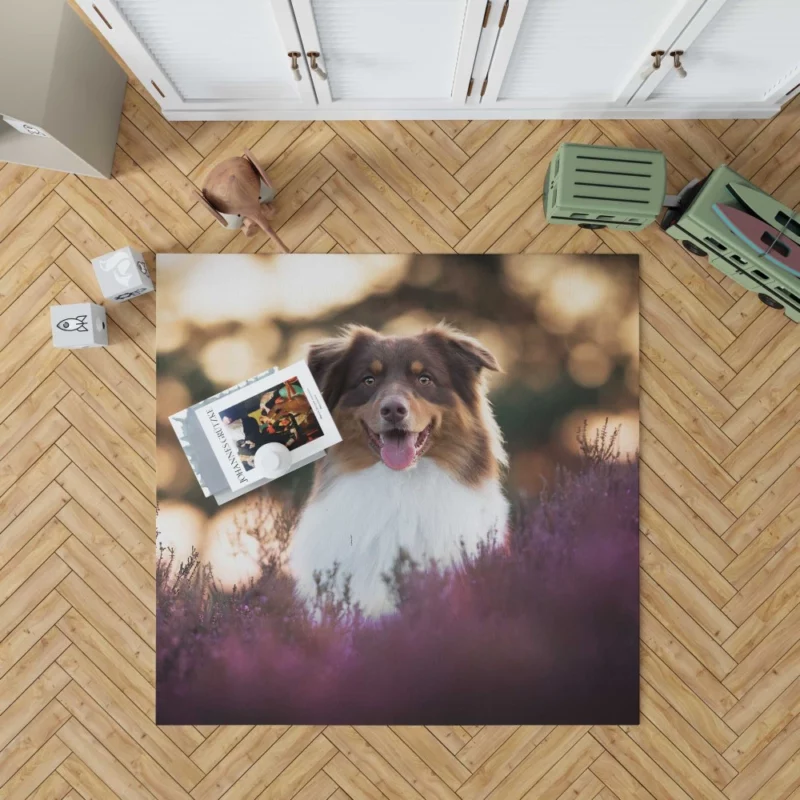 Australian Shepherd Playful Lavender Moments Rug