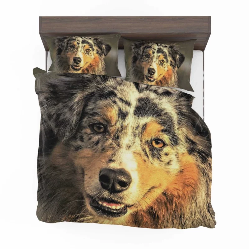 Australian Shepherd Playful Persona Bedding Set 1