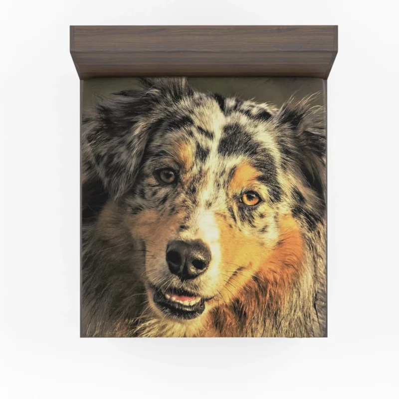 Australian Shepherd Playful Persona Fitted Sheet 1