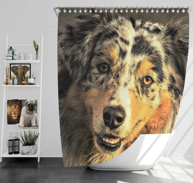 Australian Shepherd Playful Persona Shower Curtain