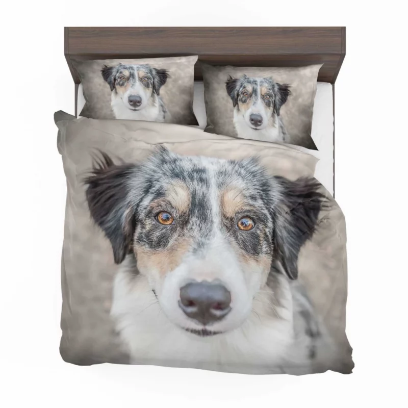 Australian Shepherd Playful Spirit Furry Dynamo Bedding Set 1