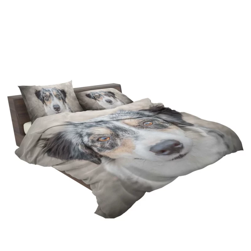 Australian Shepherd Playful Spirit Furry Dynamo Bedding Set 2