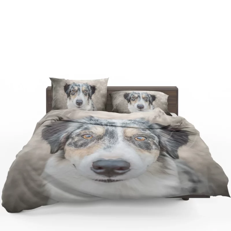 Australian Shepherd Playful Spirit Furry Dynamo Bedding Set