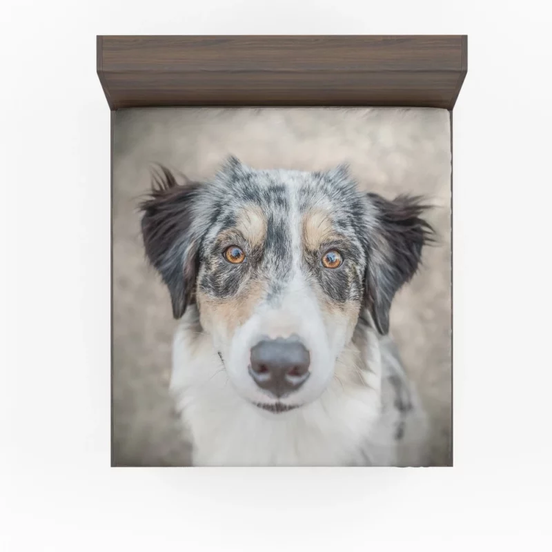 Australian Shepherd Playful Spirit Furry Dynamo Fitted Sheet 1