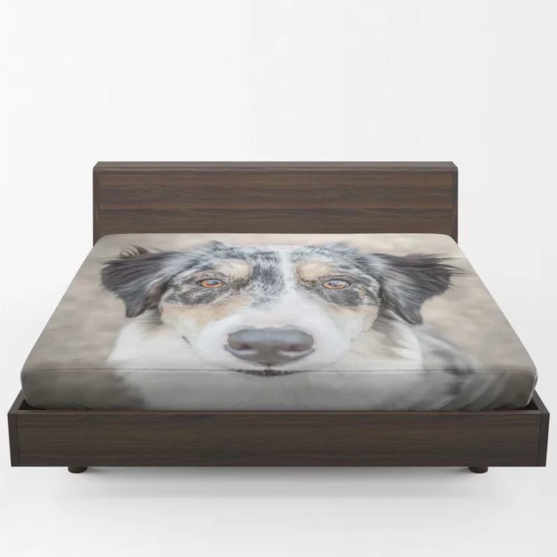 Australian Shepherd Playful Spirit Furry Dynamo Fitted Sheet