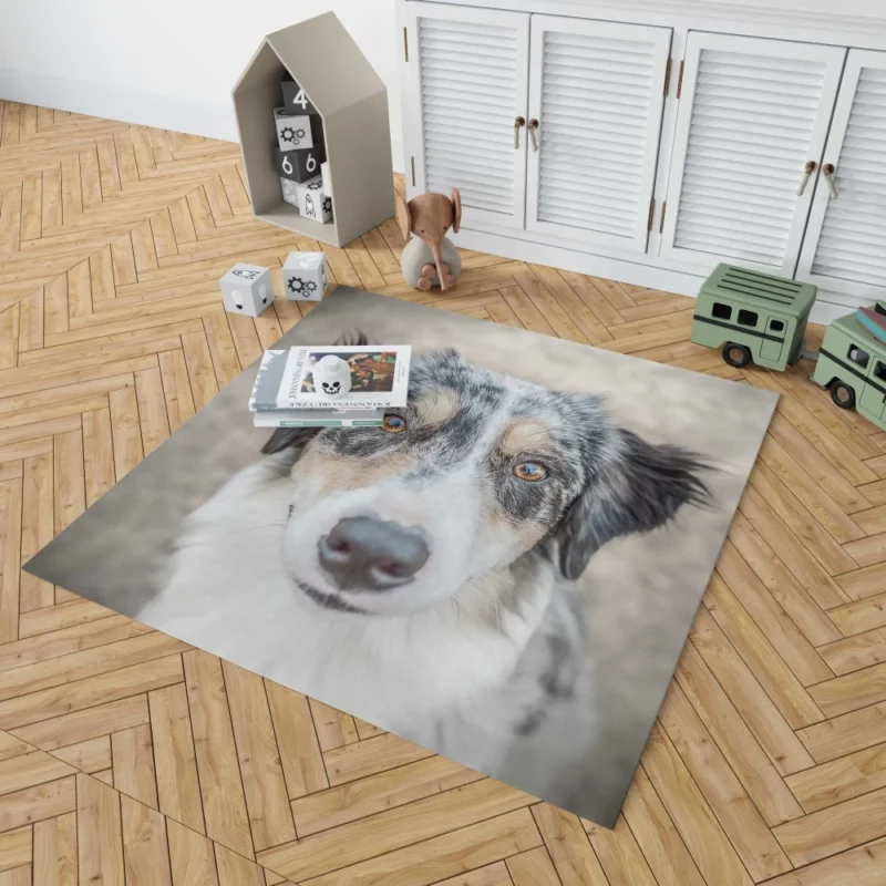 Australian Shepherd Playful Spirit Furry Dynamo Rug 1