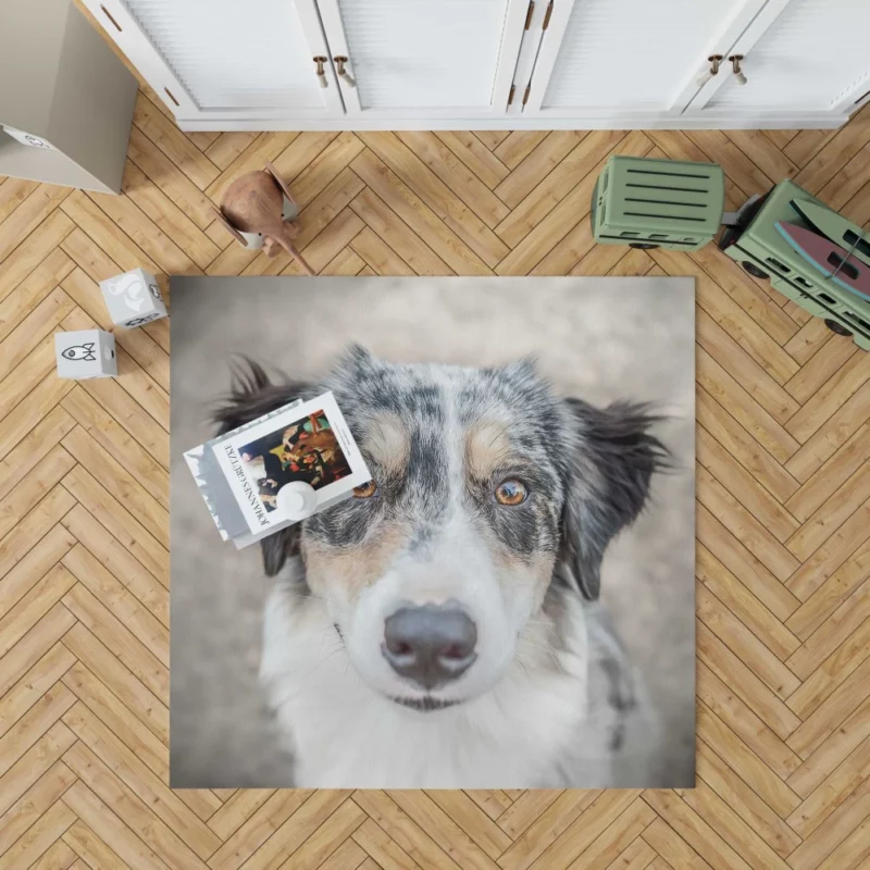 Australian Shepherd Playful Spirit Furry Dynamo Rug