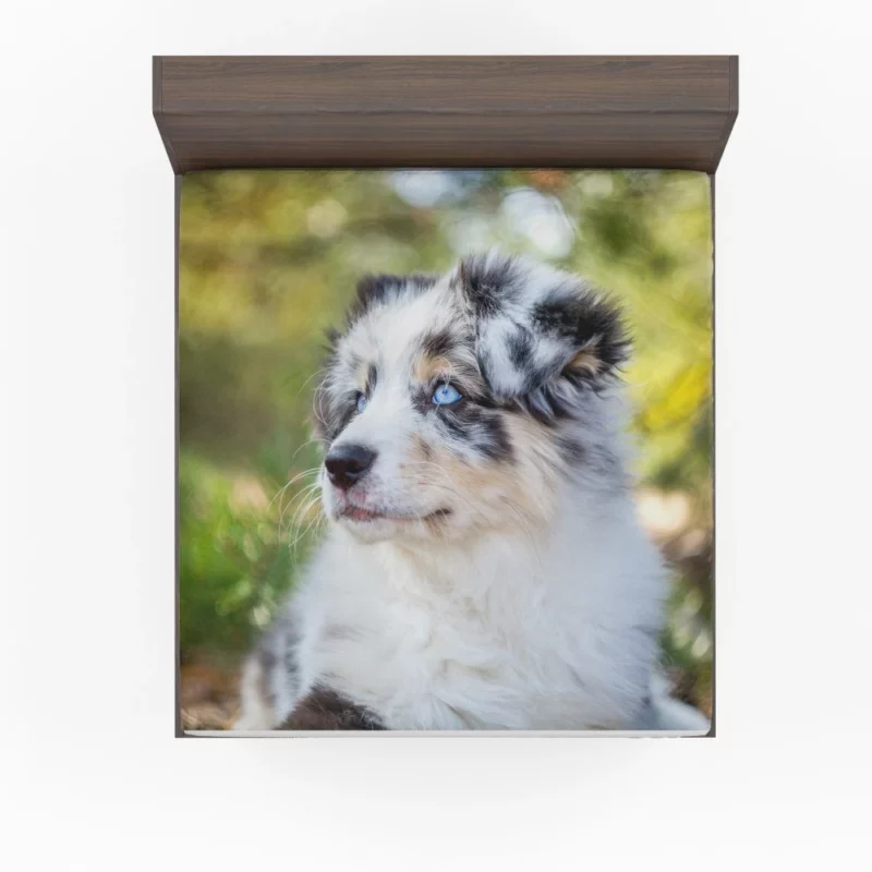 Australian Shepherd Pup Joy Baby Bliss Fitted Sheet 1