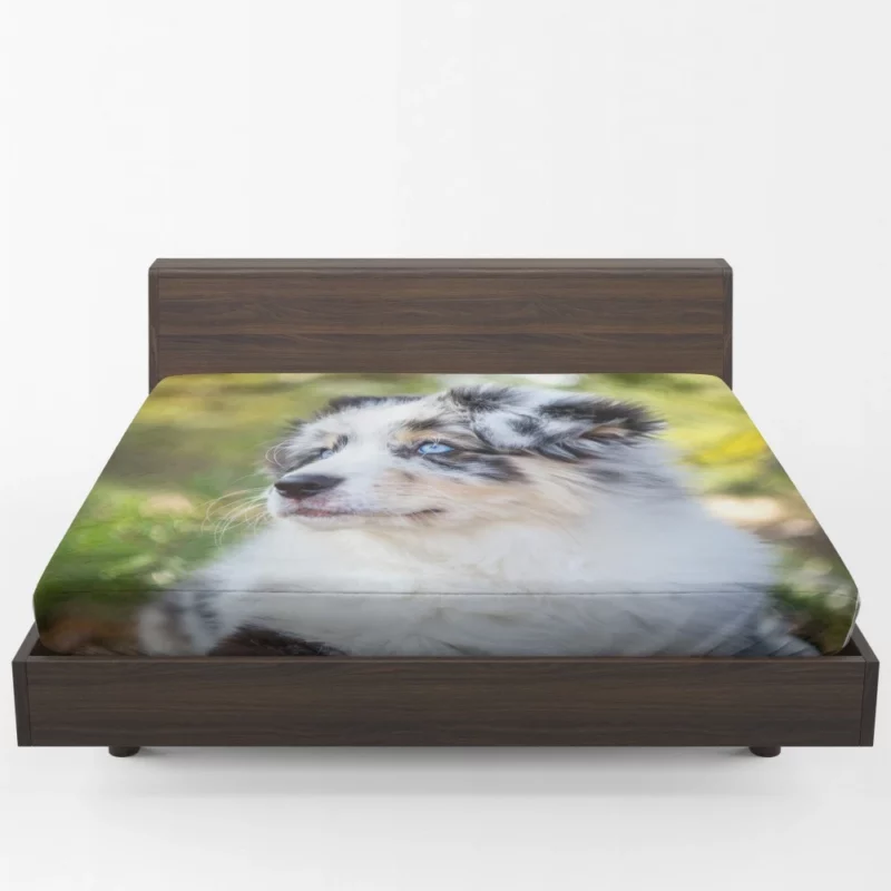 Australian Shepherd Pup Joy Baby Bliss Fitted Sheet