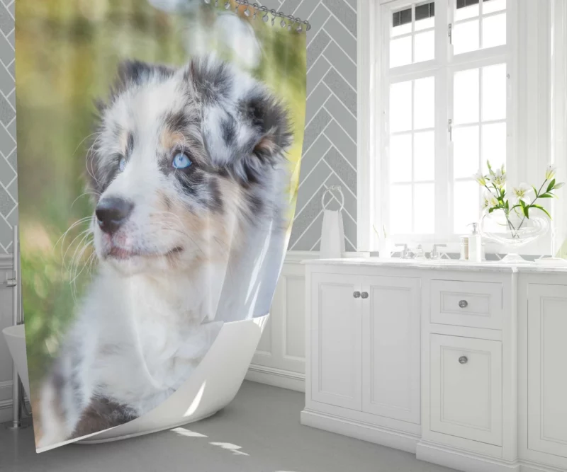 Australian Shepherd Pup Joy Baby Bliss Shower Curtain 1