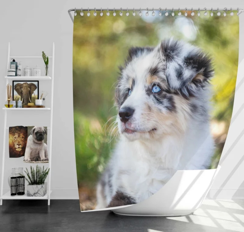 Australian Shepherd Pup Joy Baby Bliss Shower Curtain