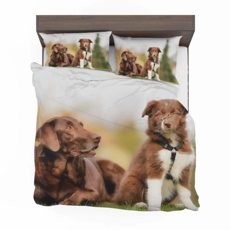 Australian Shepherd Puppies Furry Grace Bedding Set 1