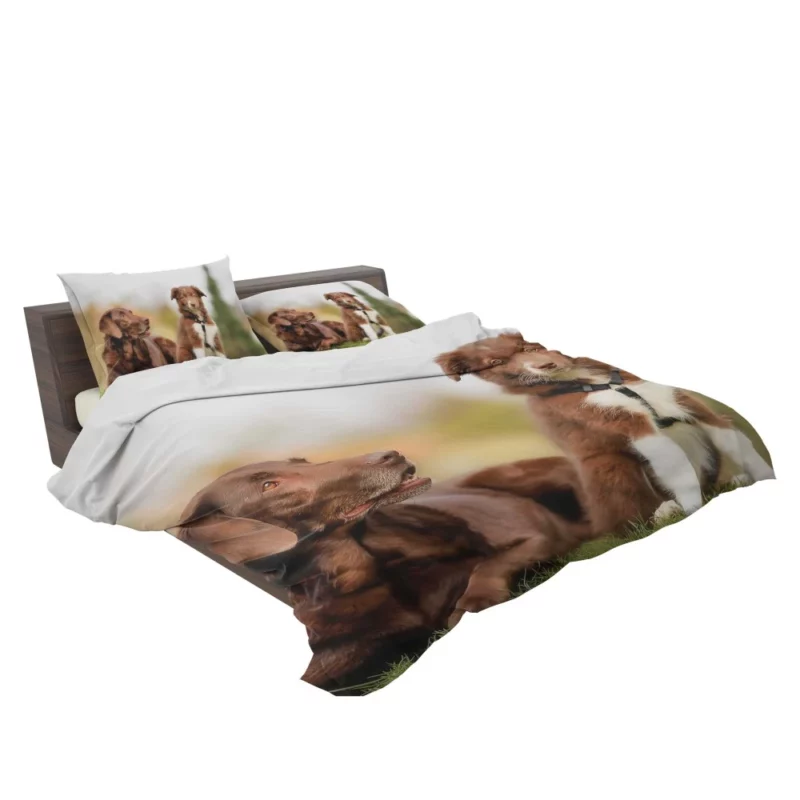 Australian Shepherd Puppies Furry Grace Bedding Set 2