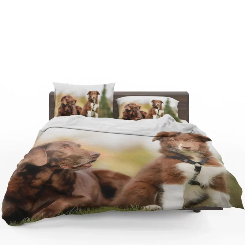 Australian Shepherd Puppies Furry Grace Bedding Set