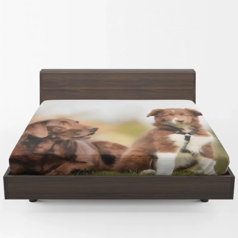 Australian Shepherd Puppies Furry Grace Fitted Sheet