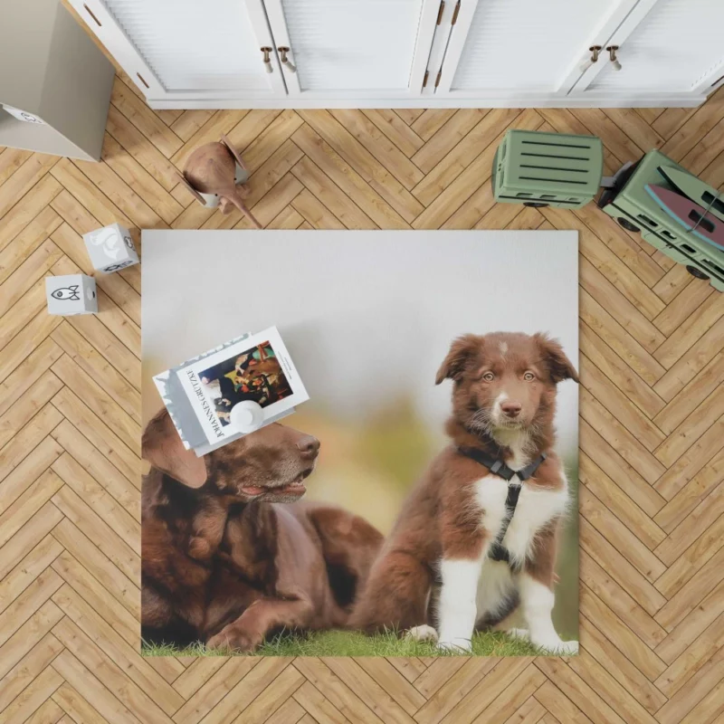 Australian Shepherd Puppies Furry Grace Rug