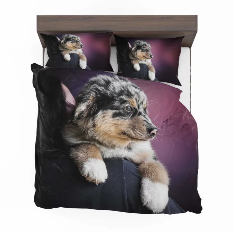 Australian Shepherd Puppy Charm Furry Joy Bedding Set 1