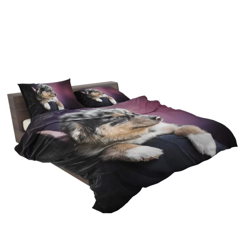 Australian Shepherd Puppy Charm Furry Joy Bedding Set 2