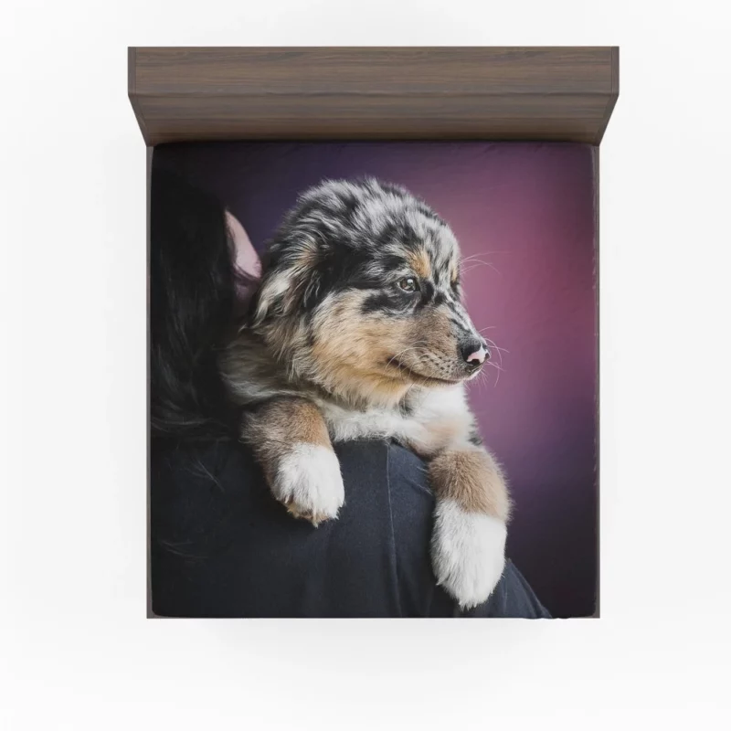 Australian Shepherd Puppy Charm Furry Joy Fitted Sheet 1