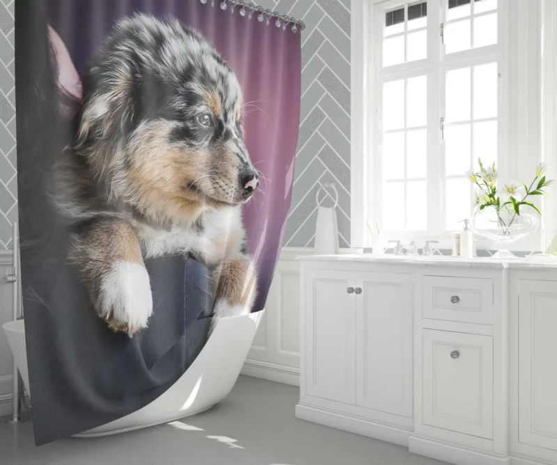 Australian Shepherd Puppy Charm Furry Joy Shower Curtain 1