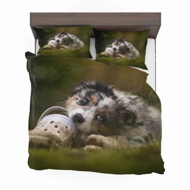 Australian Shepherd Puppy Curious Gaze Bedding Set 1