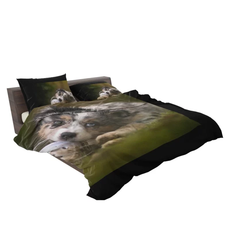 Australian Shepherd Puppy Curious Gaze Bedding Set 2