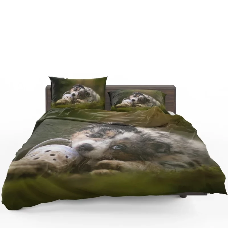 Australian Shepherd Puppy Curious Gaze Bedding Set