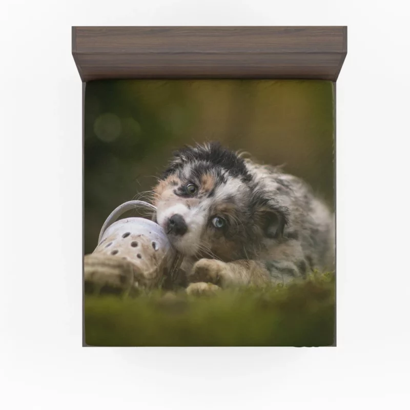 Australian Shepherd Puppy Curious Gaze Fitted Sheet 1