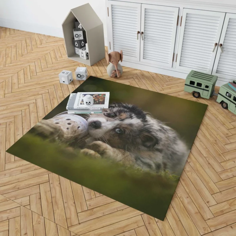 Australian Shepherd Puppy Curious Gaze Rug 1