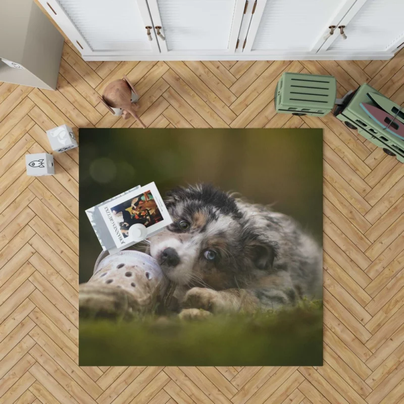 Australian Shepherd Puppy Curious Gaze Rug