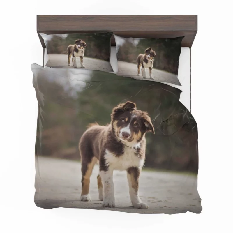 Australian Shepherd Puppy Innocent Stare Bedding Set 1