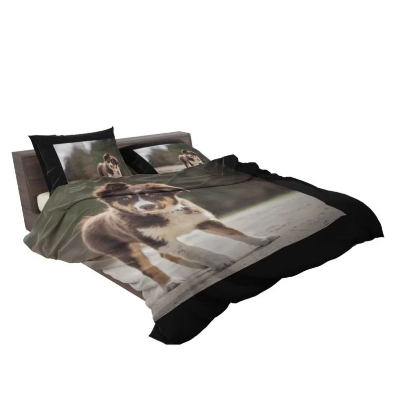 Australian Shepherd Puppy Innocent Stare Bedding Set 2