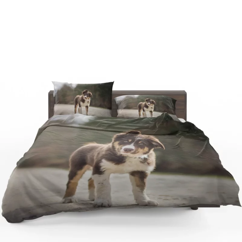 Australian Shepherd Puppy Innocent Stare Bedding Set