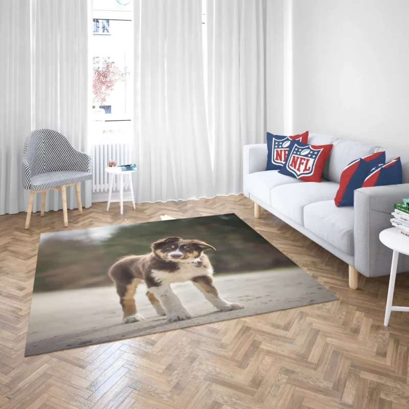 Australian Shepherd Puppy Innocent Stare Rug 2