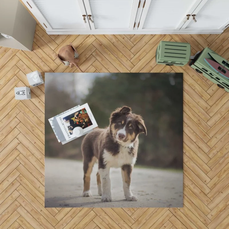 Australian Shepherd Puppy Innocent Stare Rug