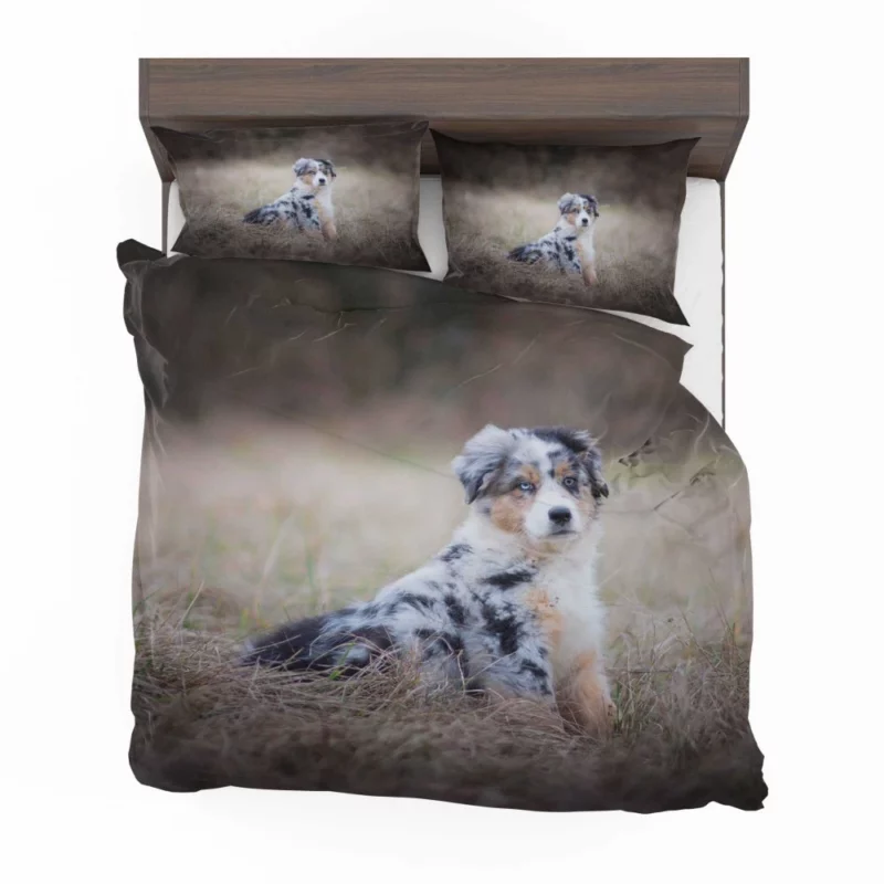 Australian Shepherd Puppy Playful Innocence Bedding Set 1