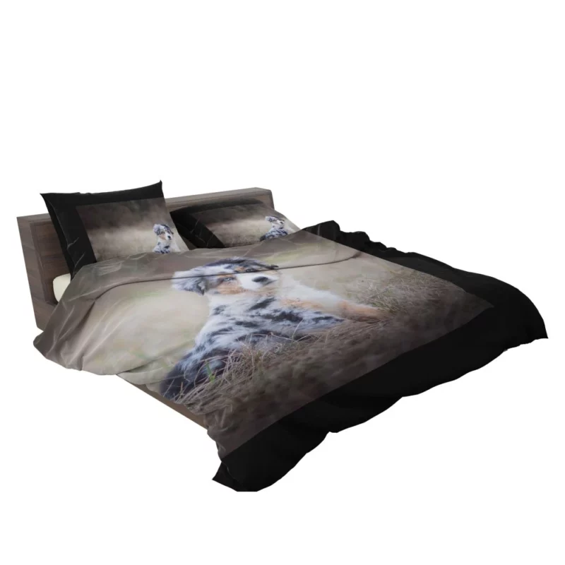 Australian Shepherd Puppy Playful Innocence Bedding Set 2