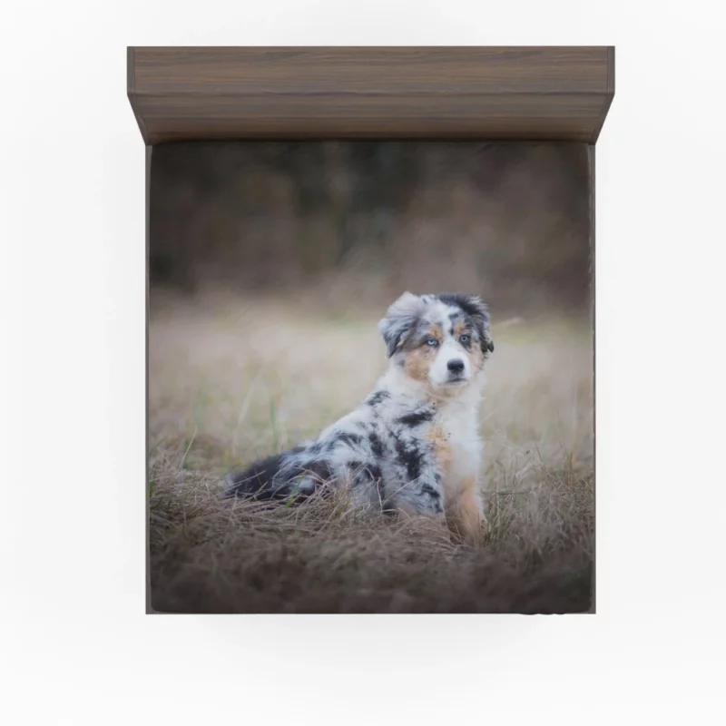 Australian Shepherd Puppy Playful Innocence Fitted Sheet 1