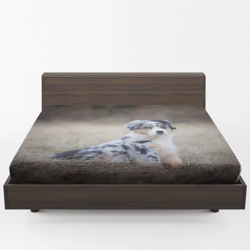 Australian Shepherd Puppy Playful Innocence Fitted Sheet