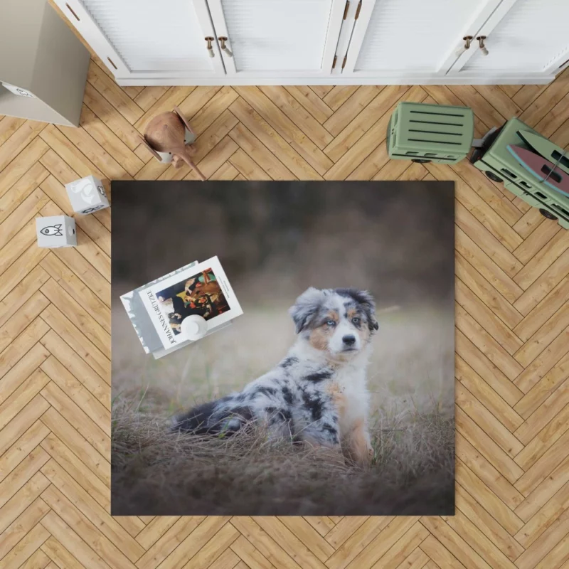 Australian Shepherd Puppy Playful Innocence Rug