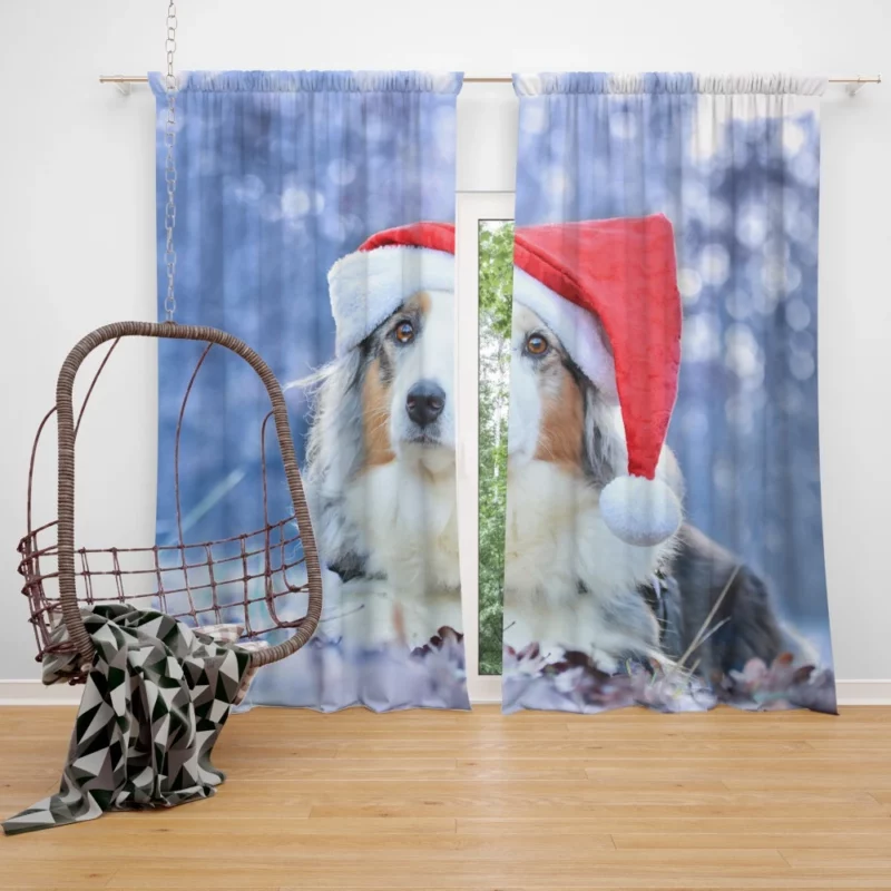 Australian Shepherd Santa Hat Style Curtain