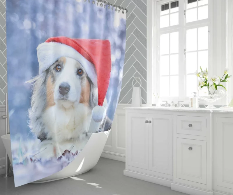 Australian Shepherd Santa Hat Style Shower Curtain 1