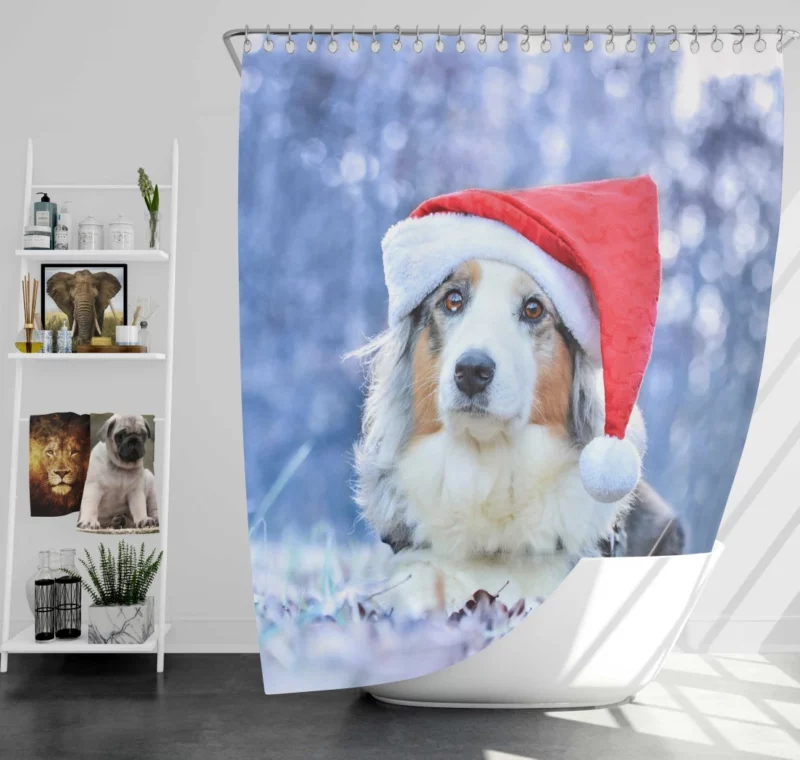 Australian Shepherd Santa Hat Style Shower Curtain