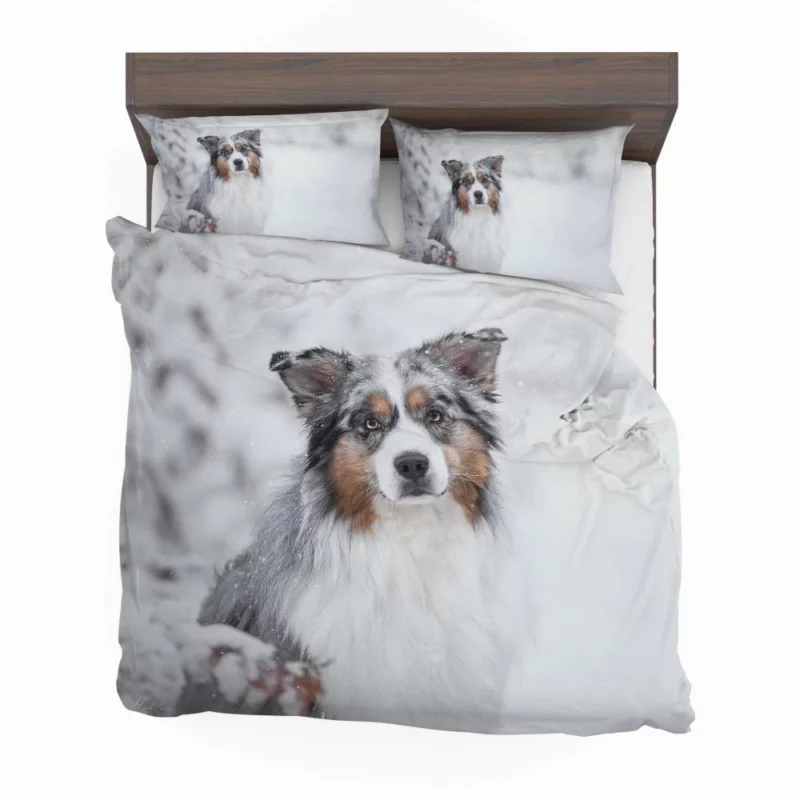 Australian Shepherd Snowy Stare Bedding Set 1