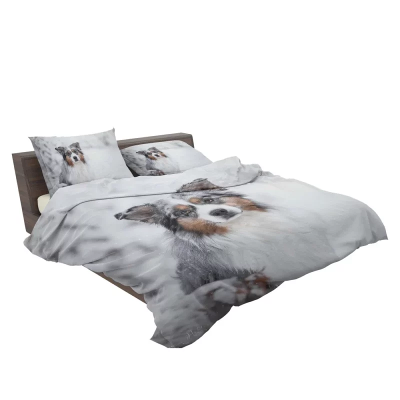 Australian Shepherd Snowy Stare Bedding Set 2