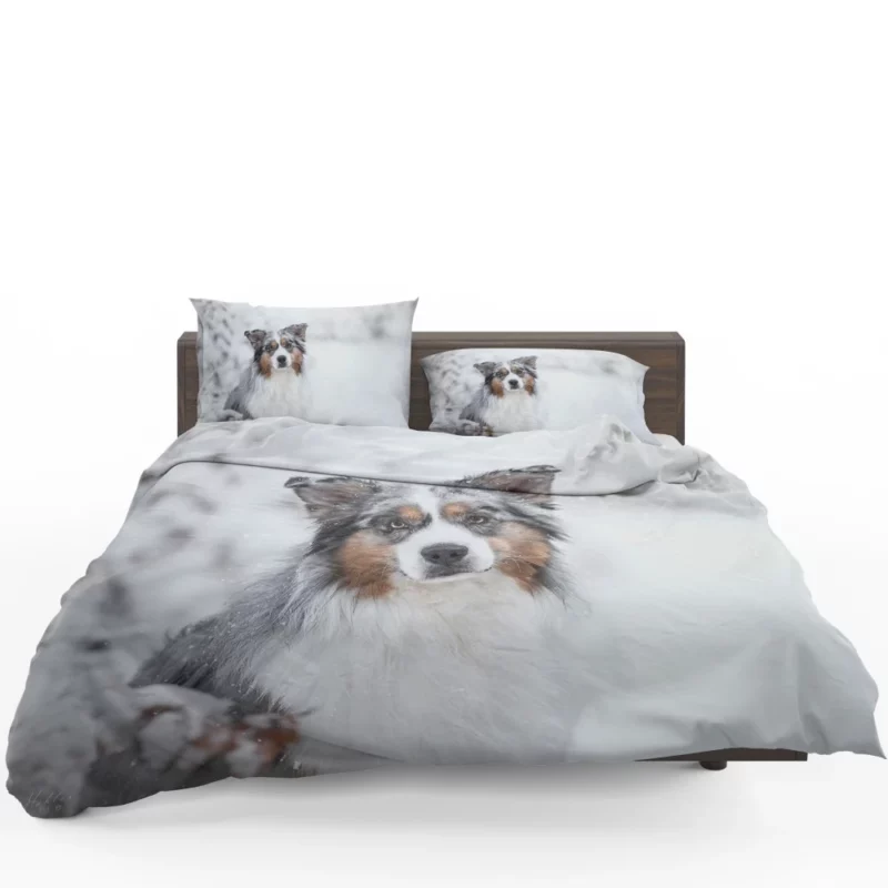 Australian Shepherd Snowy Stare Bedding Set