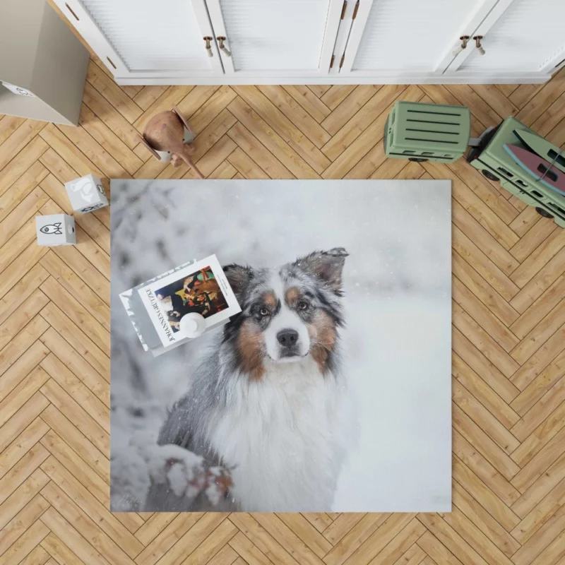 Australian Shepherd Snowy Stare Rug